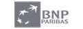 Logos-gris-bnp